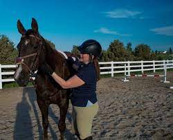 5 Ways To Improve Your Horseback Riding