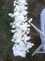 Let flowers for eugene take care of your floral arrangements by occasion; Eugene Wholesale Flowers