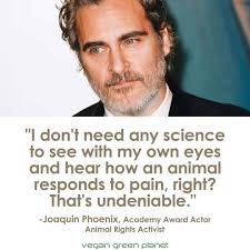 Choose kindness for everyone ❤️ # VEGAN LIFE: Compassion, Recipes & Vegan  Lifestyle 🌱💚 ## Photo: [Vegan  Outreach](https://www.facebook.com/veganoutreach?__tn__=-UC*F)