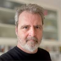 Ingrid Zuleta Marin Email & Phone Number