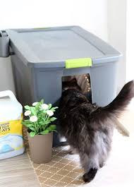 #ultimatelitter #collectivebias last year i got a very unexpected surprise when i became the owner of 2 stray kittens. 44 Cool Ways To Hide A Cat Litter Box Digsdigs