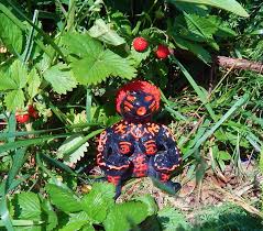 To favorites 0 download album. Wilde Weiber Und Ihre Magie Hexenworte