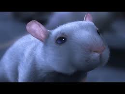 Watch A Bird Overcome Fear In Pixar S Heart Melting New Short Film Piper Youtube Animation Animated Movies Short Film