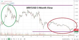We recommend etoro because you can create an account for free with this broker, and its fees for trading online are very low. A Long Term Ripple Price Prediction For 2021 2025 And 2030