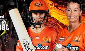 Bbl live score of today's match: Cricket Betting Tips And Fantasy Cricket Match Predictions Wbbl 2020 Adelaide Strikers Vs Perth Scorchers Match 13