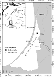 Its watershed consists of about 100. Map Of The Curonian Lagoon Showing Sampling Locations Where Water Download Scientific Diagram