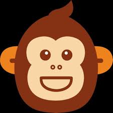 Pro Roe 1973 Retro Shirt for Women, Pro Choice Shirt, Protest Shirt, Roe V  Wade Shirt, Women's Rights Shirt, Equality Shirt, Pro Roe Shirt