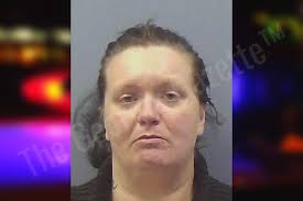 Nancy Nesbitt — Chattooga County Jail Bookings