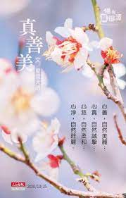 pin by ying on soul zen in 2020 buddha teachings teachings merit