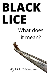 Black Lice And Lice In Black Hair Images Louse Hair Images Hair Mask For Dandruff
