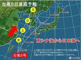 If still can not solve the problem as described above, please enter mailbox forum to inform us , we will solve the problem for you as soon as possible. å°é¢¨5å·ã®ä»Šå¾Œã®è¡Œæ–¹ æ¢…é›¨æ˜Žã'ã«å½±éŸ¿ã¯ My Treasures