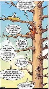 Alkan Aslan Adli Kullanicinin Karikatur Panosundaki Pin Mizah Caricatures Komik