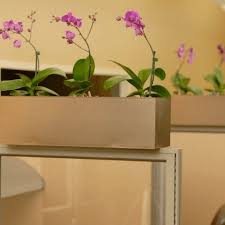 Cubicle decoration themes is only suggested and intended for a room that has no window. Cubicle Accessories Greencleandesigns Com Cubicle Planter Partition