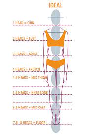 Body proportionsdiscover how your body is proportioned and how to flatter your body proportions. Understanding Body Proportions The Creative Curator