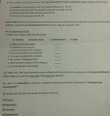 All plant cells contain chloroplasts. 8 True Or False Circle T For True Or F For False Chegg Com