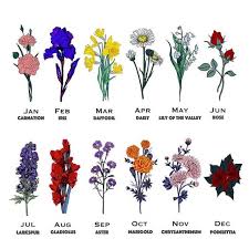 Birth Flowers By Month Birth Flowers Birth Month Flowers Month Flowers