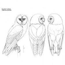 Relief Carving Patterns To Printable Owl Wood Carving Patterns Pictures Wood Carving Patterns Chainsaw Carving Patterns Wood Carving Designs