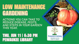 Low Maintenance Gardening