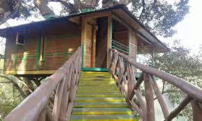 Riverside Tree House Kalitide Adventures Dandeli Dandeli resorts like panther sat, and magenta century provide a comfy stay, topped dandeli in karnataka, is known around south india for its wildlife sanctuary that's home.