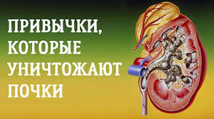 почему мы болеем и что нужно для укрепления здоровья Pin On Zdorove