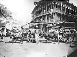 Mofussil bullock cart making its way through Bombay— c.1890s.