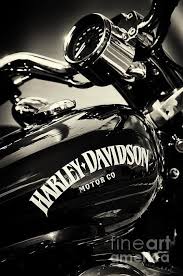  Samsung Galaxy S10 Harley D Harley Harley Davidson Wallpaper