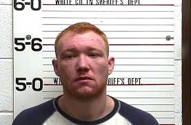 7 arrested in drug sting by White County Sheriff's Office