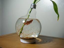 Large Lightbulb Fishbowl Etsy Fish Bowl Light Bulb Fish Light Bulb