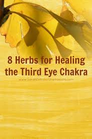 Sarah Petruno Shamanism Heal Your Mind Body Spirit Shamanic Healing Chakra Healing Chakra