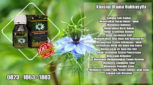 Habbatussauda Oil Berat Badan Sistem Pencernaan Jintan Hitam