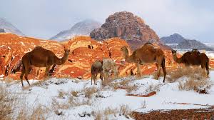 States foreign policy in the eastern mediterranean, reflecting to a great extent. Mountain Drives Camel Rides Through The Snow In Saudi Visit Saudi Official Website