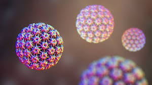 Hpv type — distribution in women with and human papillomavirus (hpv) infection in pregnant women and mother — to — child. Behaviors Surrounding Oral Sex May Increase Hpv Related Cancer Risk