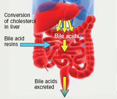 Image result for Colesevelam