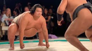 The new home for your favorites. The Truth About Fat Nova Pbs