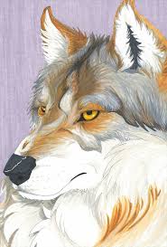 Copic Wolf By Leathaljustice On Deviantart Copic Drawings Colorful Drawings Art