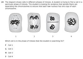 Biology vocabulary and test taking terms. Departments Staar Released Test Questions