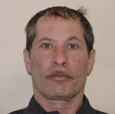 Metro Cops: U.S. Marshals detain Dearborn Heights man suspected of child  sex trafficking