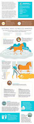 Ammonia In Your Barn What You Need To Know Equine Wellness Magazine