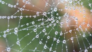 What Is The Dew Point And How Does It Relate To Humidity