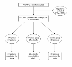 Flow Chart Detailing Study Methodology Cartoon 5139251