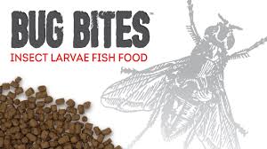 It can be hard to know what's the best one for you. Fluval Bug Bites Fish Food Made From Black Soldier Fly Larvae