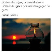 Gozlerin Bir Ciglik Bir Yarali Haykiris Gozlerin Bu Gece Cok Uzaktan Gecen Bir Gemi Zulfu Livaneli Gozlerin Ozlu Sozler Alintilar Kitap Alintilari
