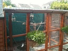 Outdoor Bird Aviary For Sale Nz Outdoor Bird Aviary Bird Aviary Backyard Poultry Bird