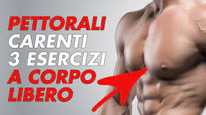 Distensioni con manubri su panca 30° o 45°. Pettorali Carenti 3 Super Esercizi A Corpo Libero E Programma Youtube