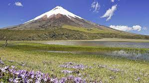 Mojno s vami podrujitsya ? Landschaft In Ecuador Faz Leserreisen
