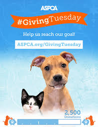 Ways To Give Animal Lover National Pet Day Pet Travel