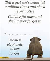 But is that really true? Quotes About Elephants Never Forget 25 Quotes