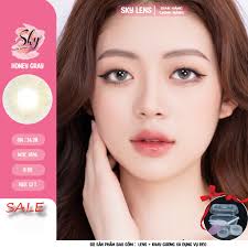 Sky Lens Korea- Honey Gray Dia 14.2 Bc 8.6