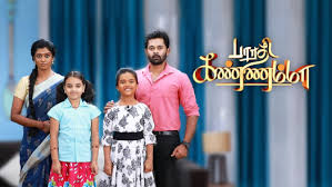 Star vijay initially broadcast the series on weeknights at 9:00pm (ist), with the debut episode screened on 14 november 2016. Watch Star Vijay Serials Shows Online On Disney Hotstar