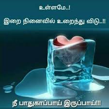 Pin By Jibri Muhtashim On Quran Verses In Tamil Best Love Quotes Love Quotes For Him Positive Quotes About Love